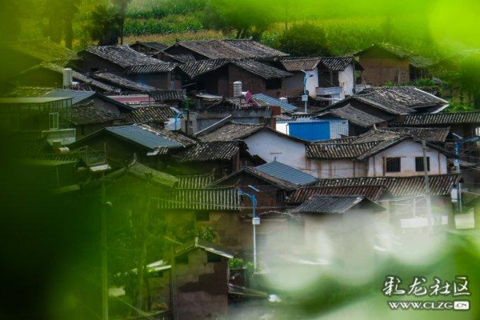 僵尸维京