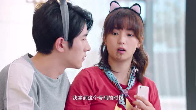 狡猾狐狸逃脱