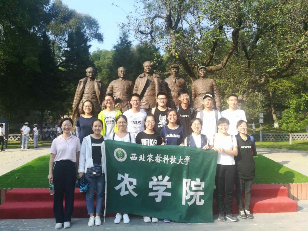 公主的成人礼