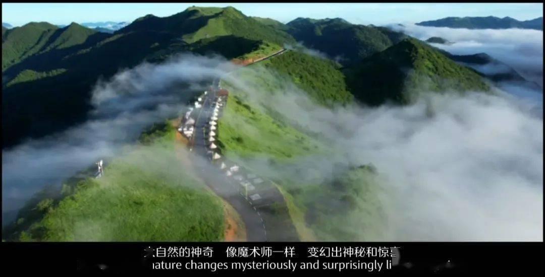 艺术时尚晚会