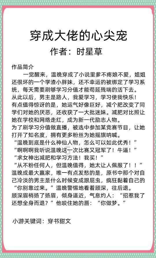 渣渣辉传奇