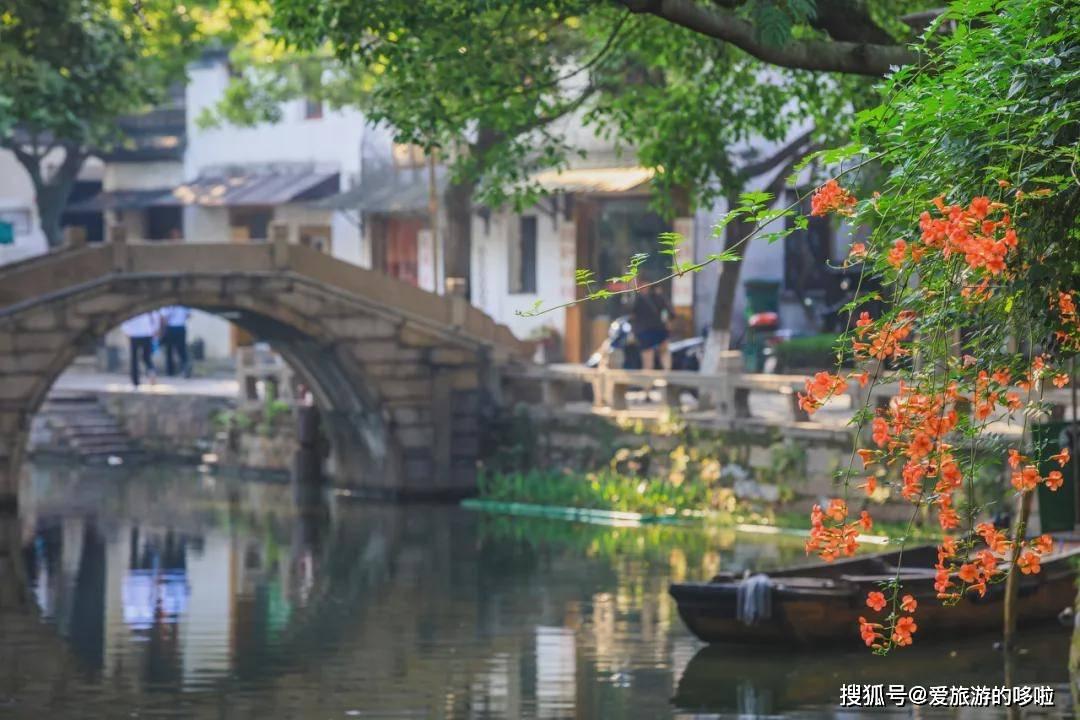 动物帮帮忙保卫家园